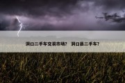 洞口二手车交易市场？ 洞口县二手车？