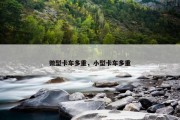 微型卡车多重，小型卡车多重