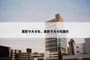 黑匣子大卡车，黑匣子大卡车图片