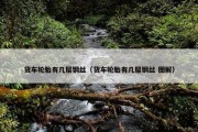 货车轮胎有几层钢丝（货车轮胎有几层钢丝 图解）