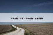 青岛奔驰二手车（青岛奔驰二手车价格）