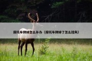 摩托车牌掉怎么补办（摩托车牌掉了怎么挂失）