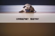 江苏恒运汽配？ 恒运汽车？