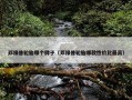 邓禄普轮胎哪个牌子（邓禄普轮胎哪款性价比最高）