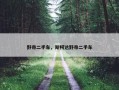 野帝二手车，斯柯达野帝二手车
