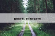 野帝二手车，斯柯达野帝二手车
