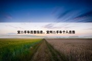 宜二手车出售信息，宜州二手车个人出售