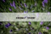 卡车扫描Ai？ 卡车识别？