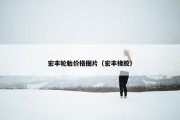宏丰轮胎价格图片（宏丰橡胶）