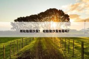用轮胎做沙发？ 轮胎做沙发有毒吗？