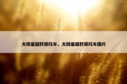 大排量越野摩托车，大排量越野摩托车图片