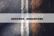 本田艇王摩托车，本田艇王摩托车图片