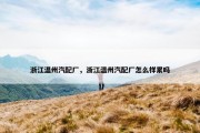 浙江温州汽配厂，浙江温州汽配厂怎么样累吗