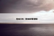 枪响卡车（枪响好看视频）