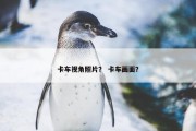 卡车视角照片？ 卡车画面？