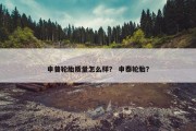 申普轮胎质量怎么样？ 申泰轮胎？