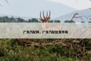广东汽配网，广东汽配批发市场