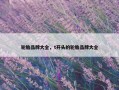 轮胎品牌大全，t开头的轮胎品牌大全