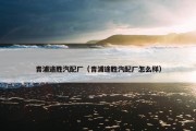 青浦途胜汽配厂（青浦途胜汽配厂怎么样）