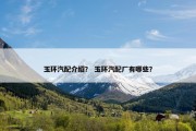 玉环汽配介绍？ 玉环汽配厂有哪些？