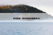 斜交轮胎（斜交轮胎的规格表示）