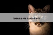 沈通轮胎怎么样（沈通轮胎图片）