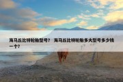 海马丘比特轮胎型号？ 海马丘比特轮胎多大型号多少钱一个？
