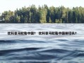 优科豪马轮胎中国？ 优科豪马轮胎中国田径队？