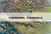 汽车防滑链在哪里买，汽车防滑链在哪儿买