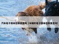 汽车电子保单在哪里查询（车辆的电子保单在哪里查询）