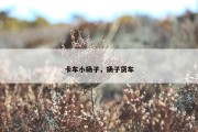 卡车小扬子，扬子货车