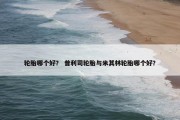 轮胎哪个好？ 普利司轮胎与米其林轮胎哪个好？