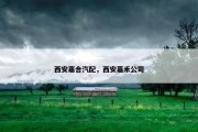 西安嘉合汽配，西安嘉禾公司