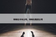 特斯拉卡车公司，特斯拉集团公司