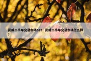 武威二手车交易市场58？ 武威二手车交易市场怎么样？