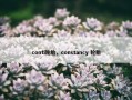 conti轮胎，constancy 轮胎