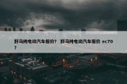 野马纯电动汽车报价？ 野马纯电动汽车报价 ec70？