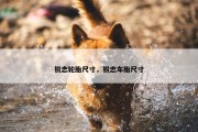 锐志轮胎尺寸，锐志车胎尺寸