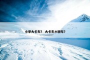 小季大卡车？ 大卡车小轿车？