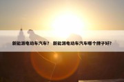 新能源电动车汽车？ 新能源电动车汽车哪个牌子好？