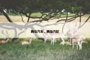 腾信汽车，腾信汽配