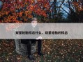 双星轮胎标志什么，双星轮胎的标志