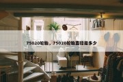75020轮胎，75020轮胎直径是多少
