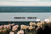巴西城市卡车？ 巴西的卡车？