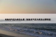 轮胎充气压力表怎么看（轮胎充气压力表怎么看数值）