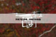 天畅汽配市场，天畅汽车销售