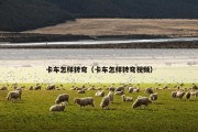 卡车怎样转弯（卡车怎样转弯视频）