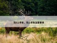 马5二手车，马二手车注意事项
