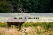 马5二手车，马二手车注意事项