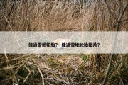 佳通雪地轮胎？ 佳通雪地轮胎图片？